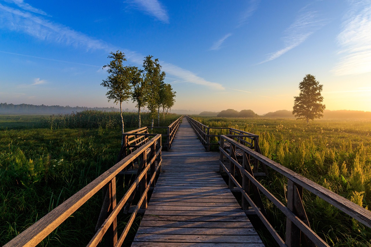 The Importance of Land Conservation in Sustainable Living